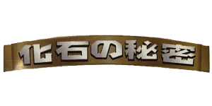 Mystery of the Fossils