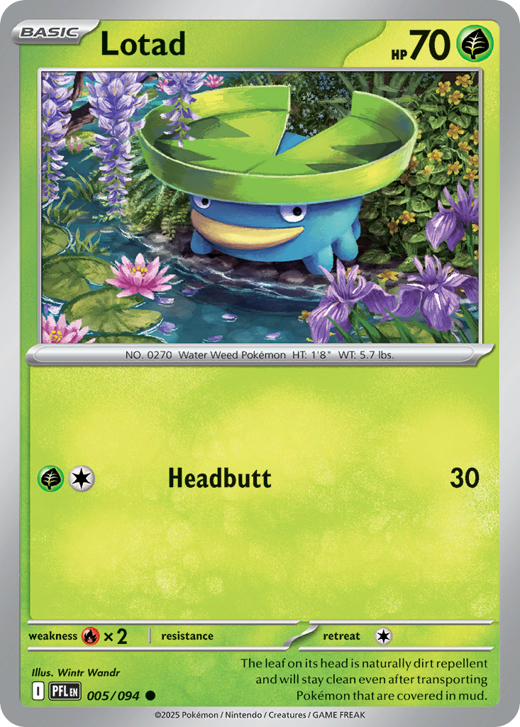 Lotad Pokemon card