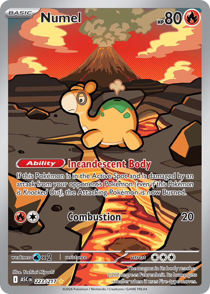 Numel Pokemon card