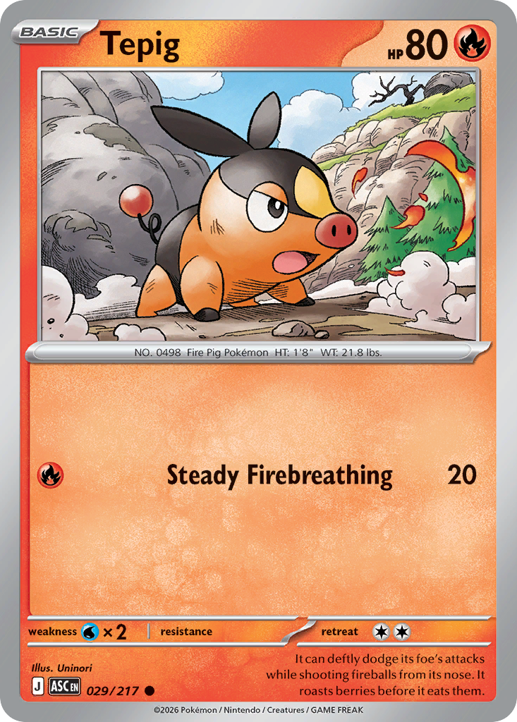 Tepig Pokemon card