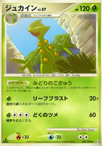 Sceptile Pokemon card