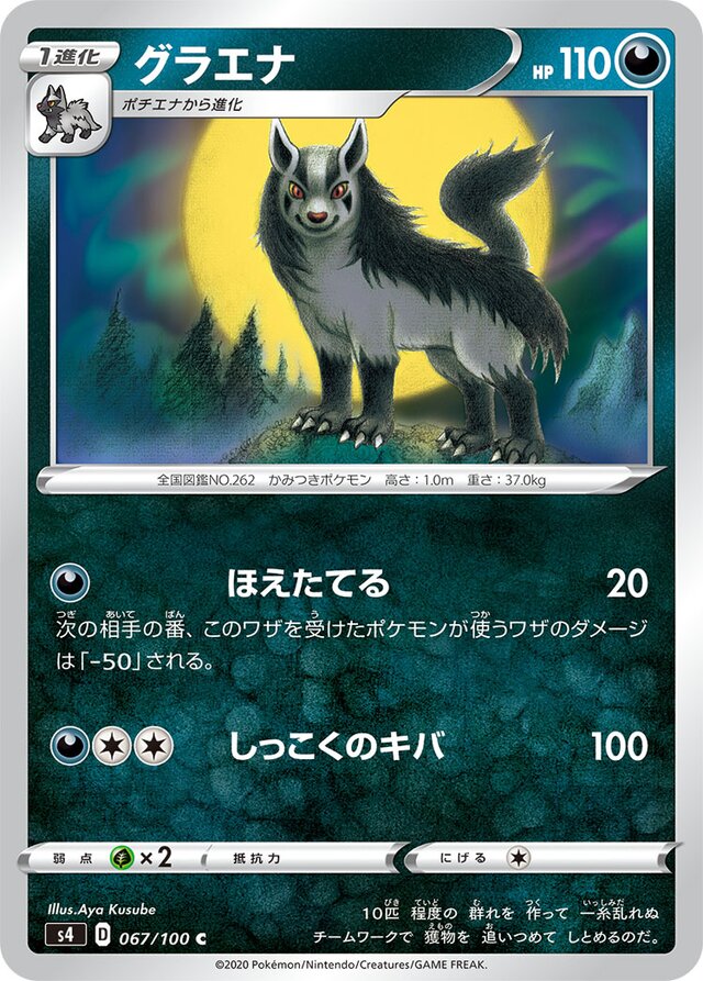 Mightyena Pokemon card