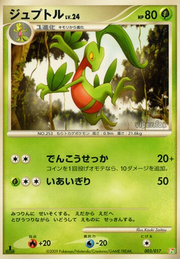 Grovyle Pokemon card