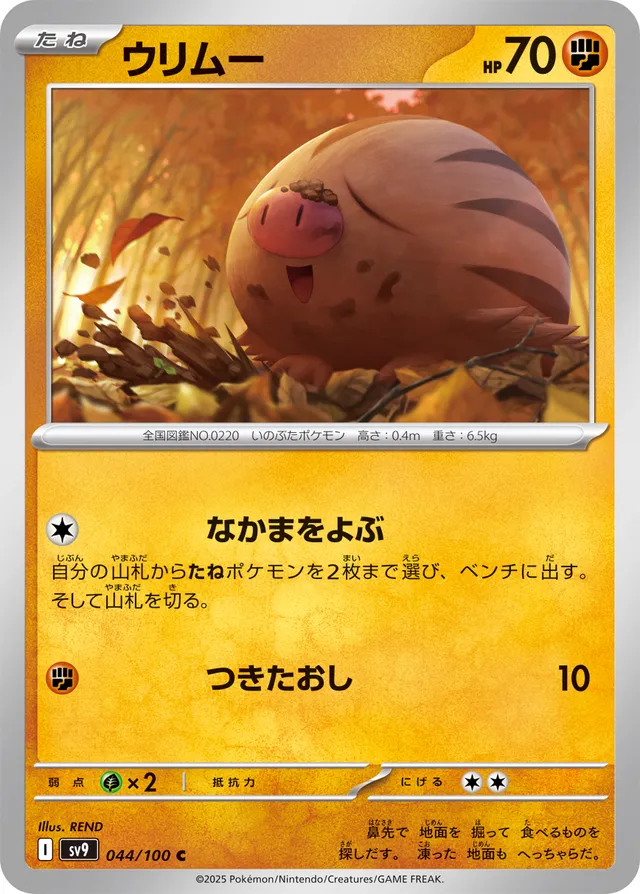 Swinub Pokemon card