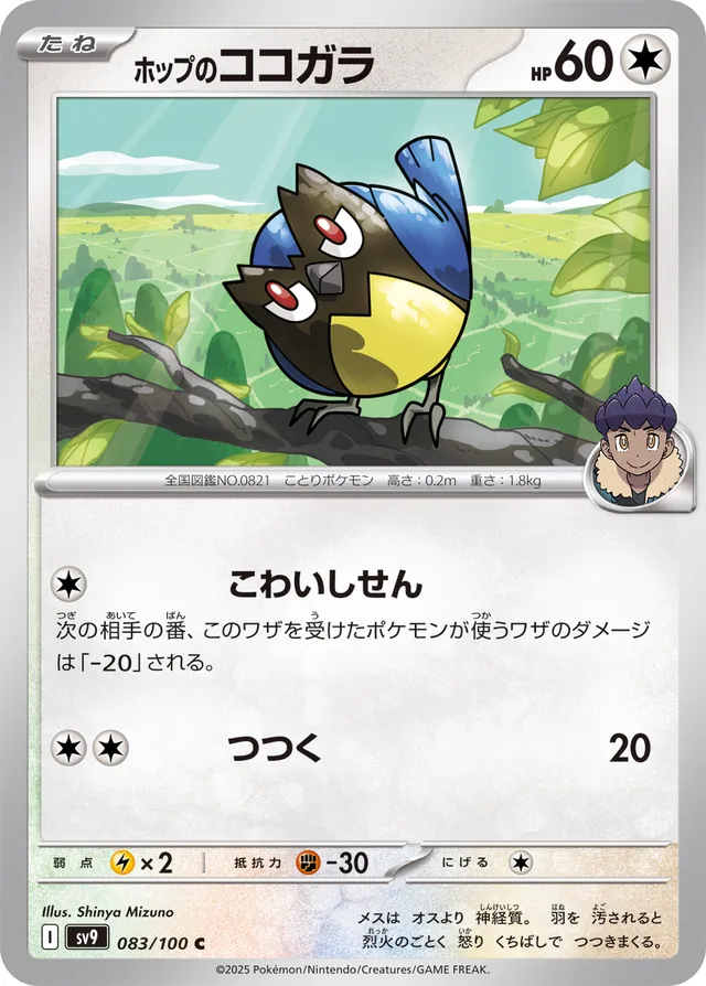 Hop's Rookidee Pokemon card