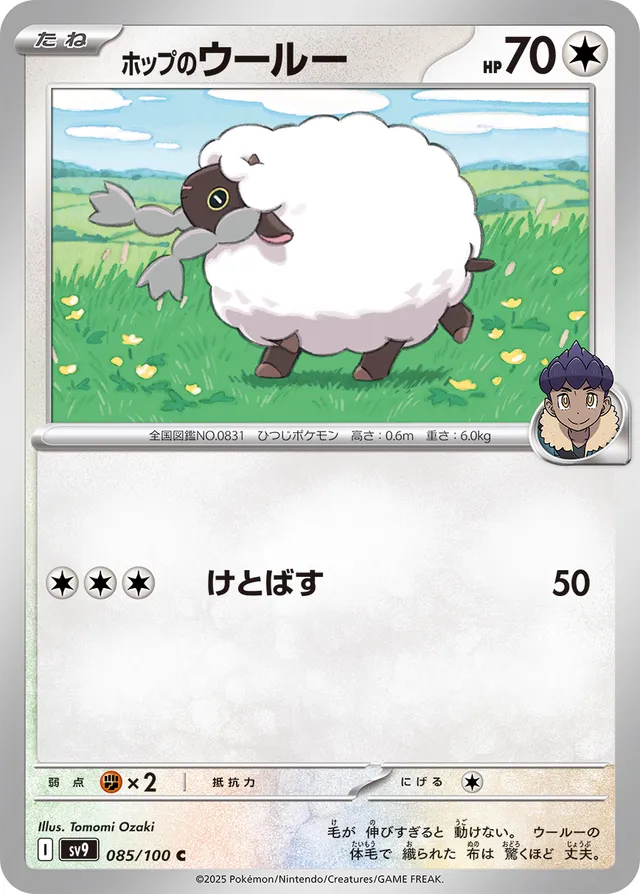 Hop's Wooloo Pokemon card
