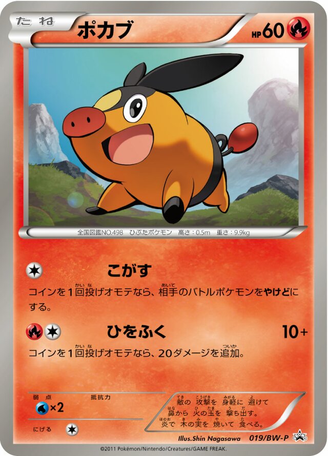 Tepig Pokemon card