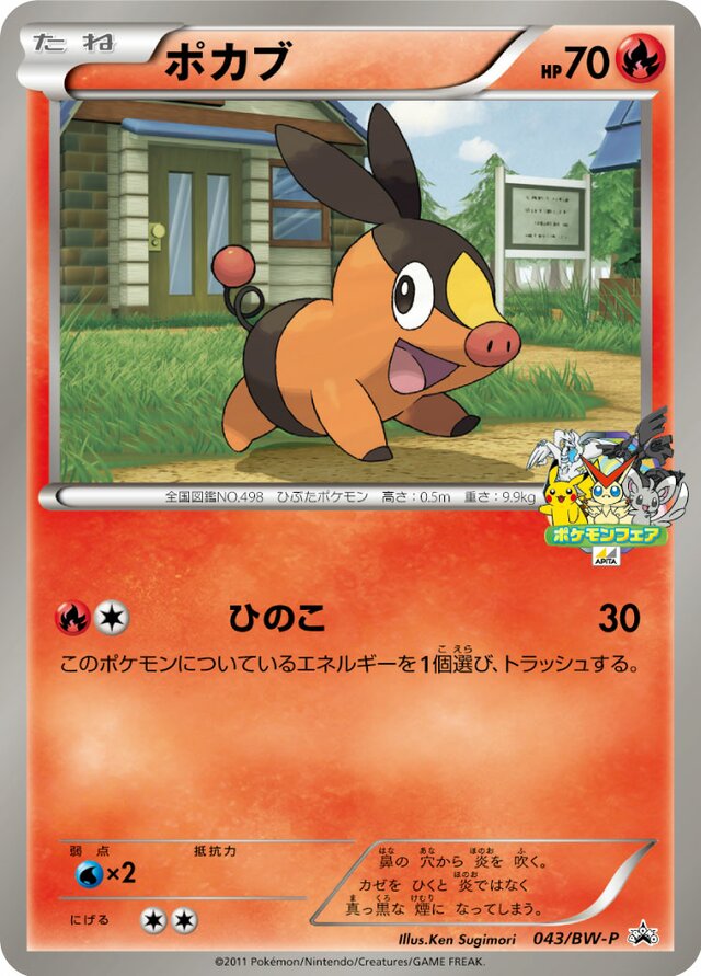 Tepig Pokemon card
