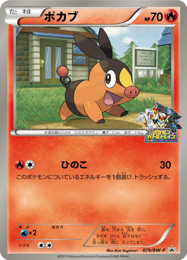 Tepig Pokemon card