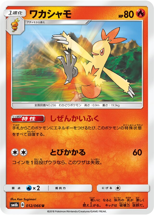 Combusken Pokemon card