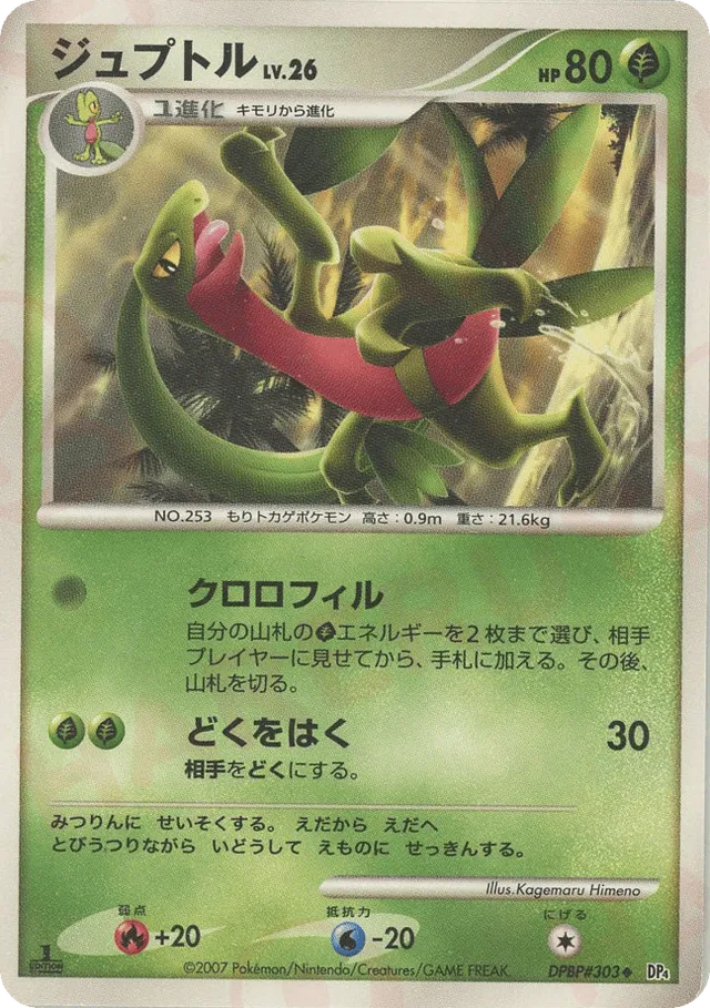 Grovyle Pokemon card