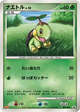 Turtwig Pokemon card