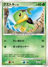 Turtwig Pokemon card