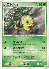 Turtwig Pokemon card