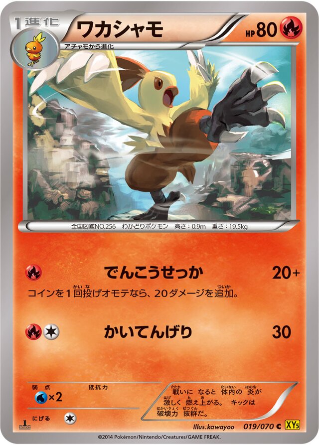 Combusken Pokemon card