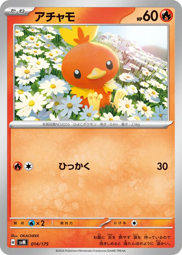 Torchic Pokemon card