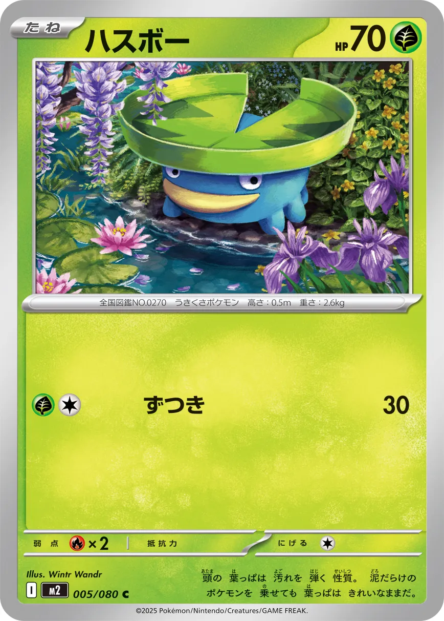 Lotad Pokemon card