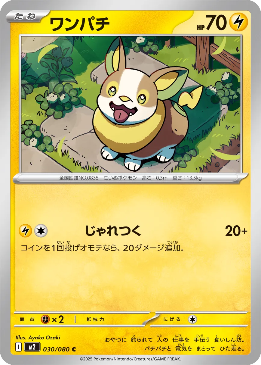 Yamper Pokemon card