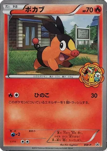 Tepig Pokemon card