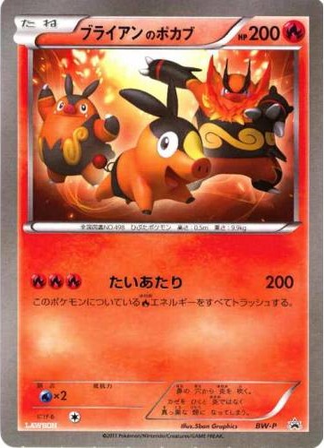 _____'s Tepig Pokemon card