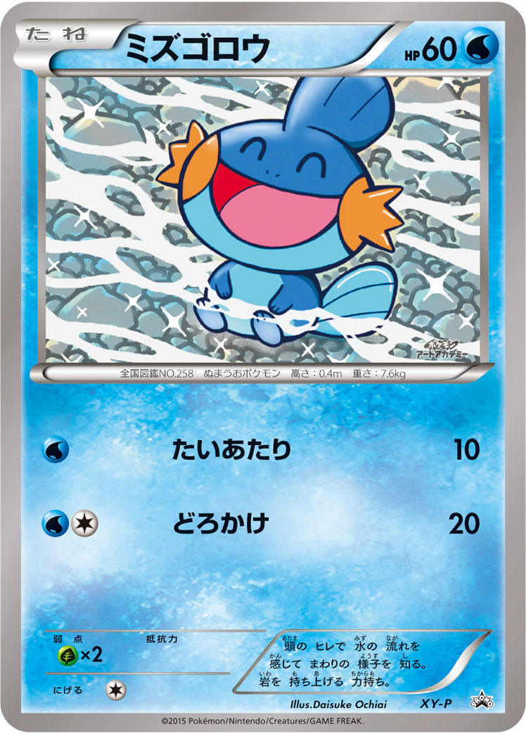 Mudkip Pokemon card