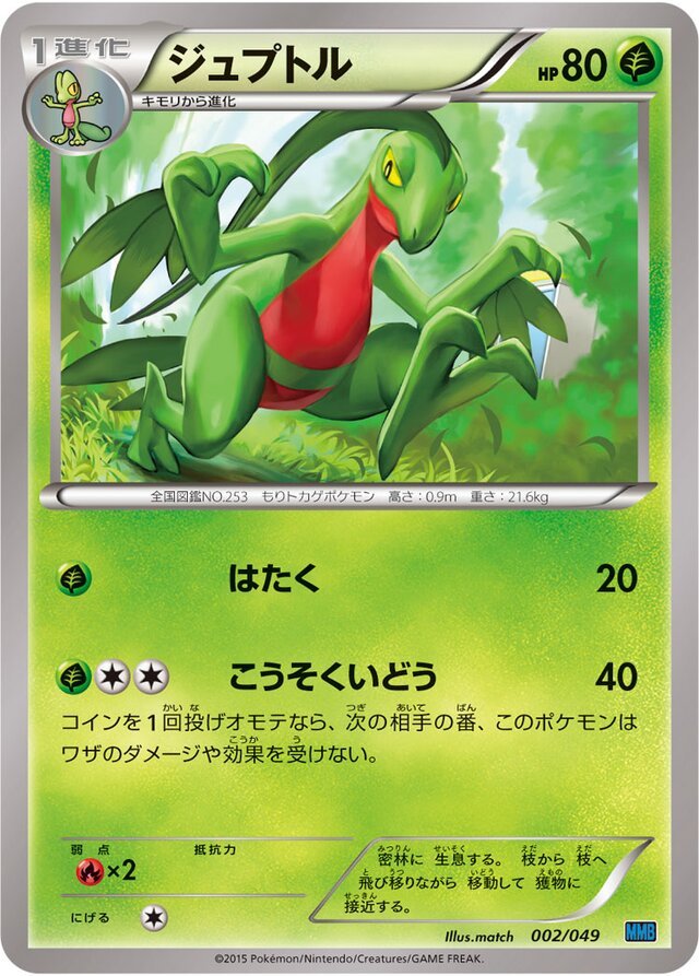 Grovyle Pokemon card