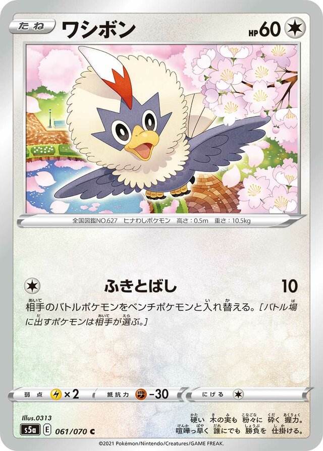 Rufflet Pokemon card