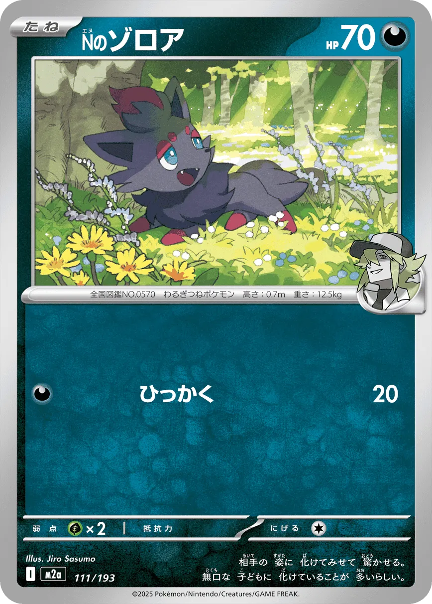 N's Zorua Pokemon card