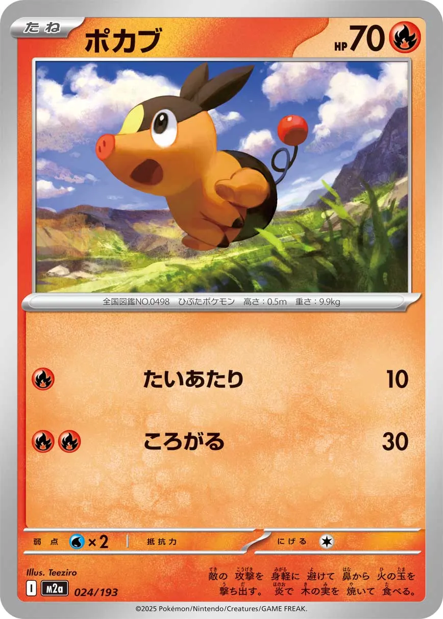 Tepig Pokemon card