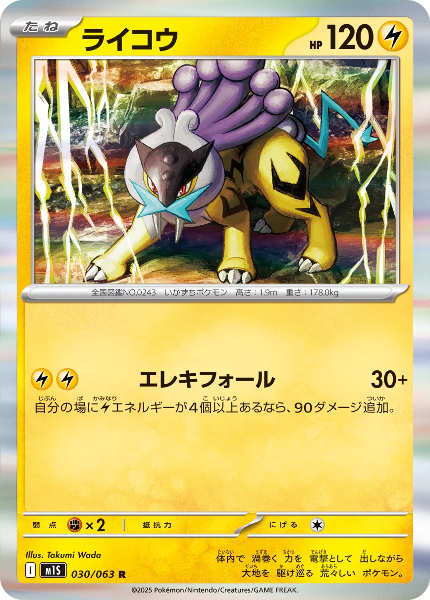 Raikou Pokemon card