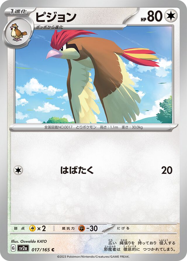 Pidgeotto Pokemon card