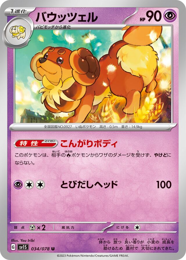 Dachsbun Pokemon card