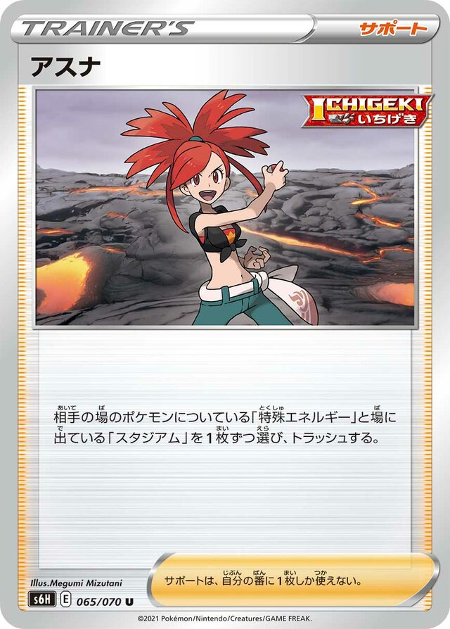 Flannery Pokemon card