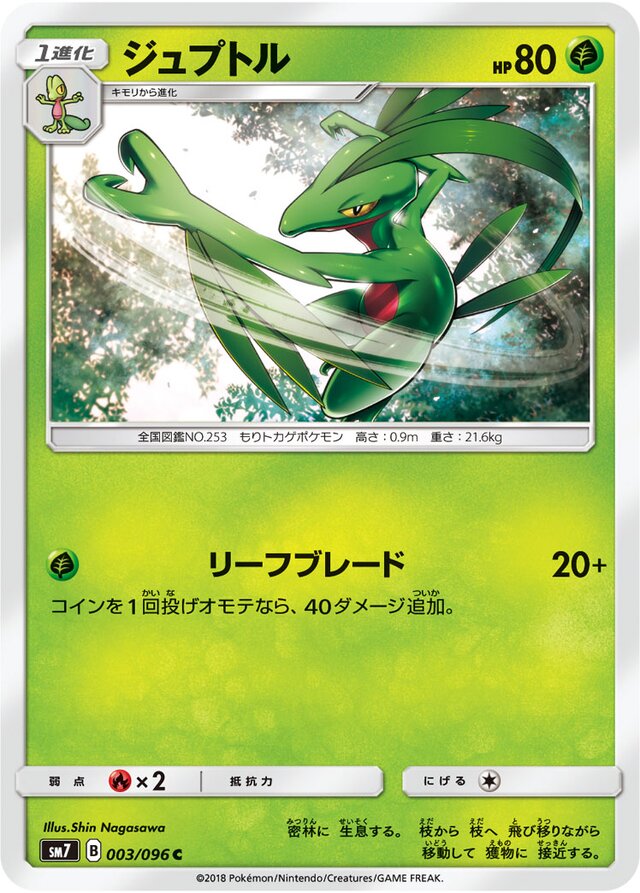 Grovyle Pokemon card