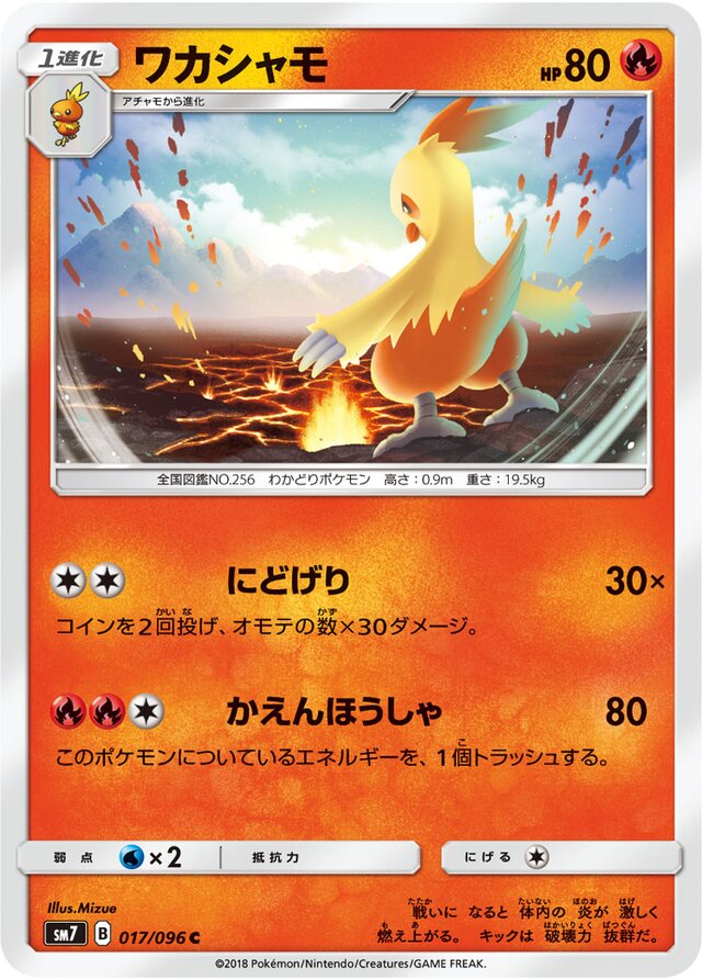 Combusken Pokemon card