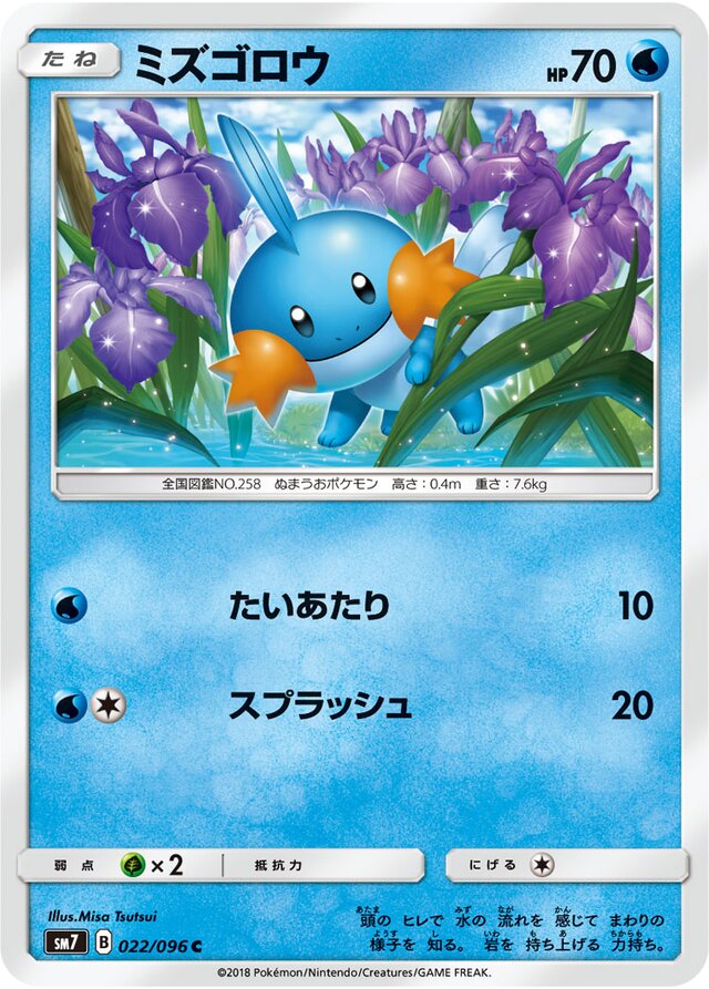 Mudkip Pokemon card