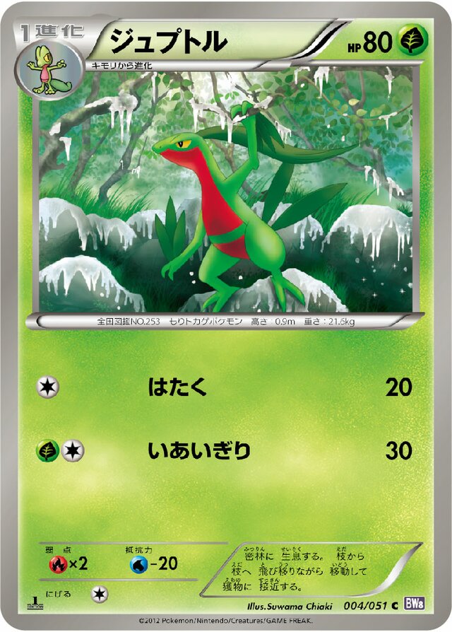 Grovyle Pokemon card