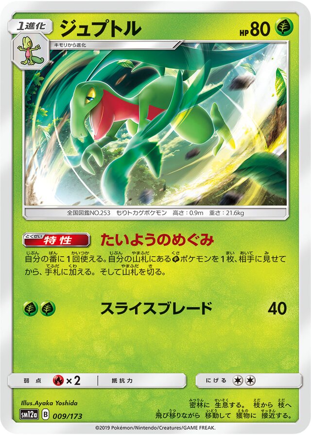 Grovyle Pokemon card