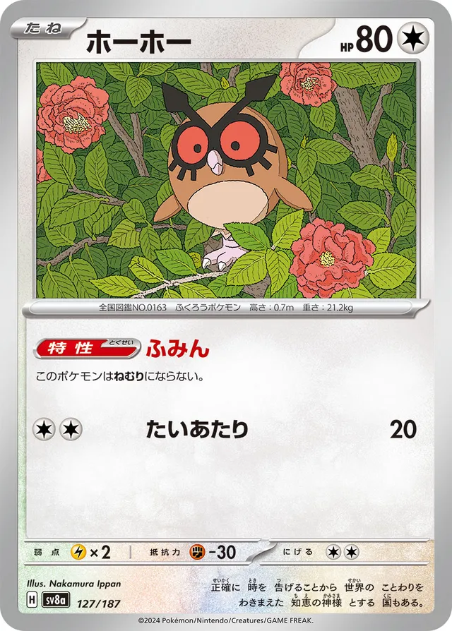 Hoothoot Pokemon card