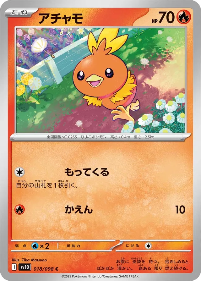 Torchic Pokemon card