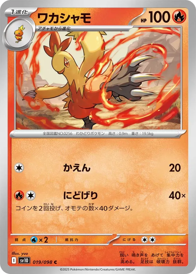 Combusken Pokemon card
