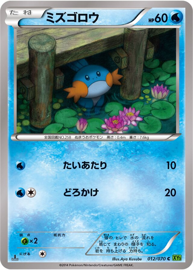 Mudkip Pokemon card