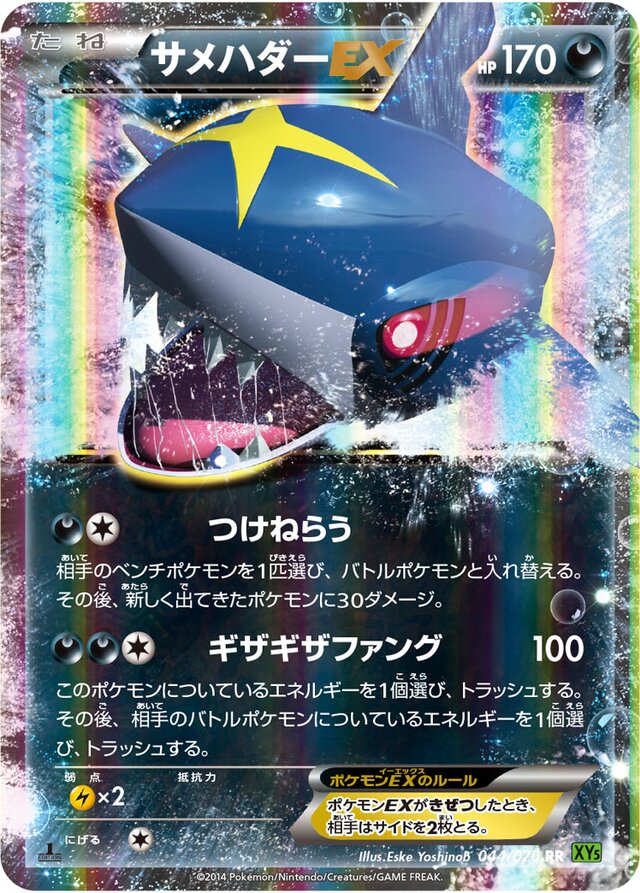 Sharpedo Pokemon card
