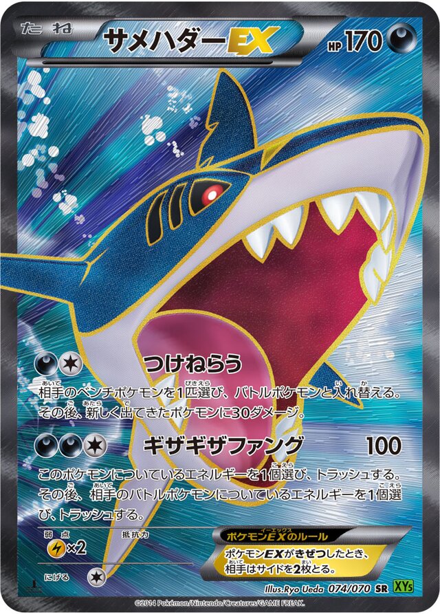 Sharpedo Pokemon card