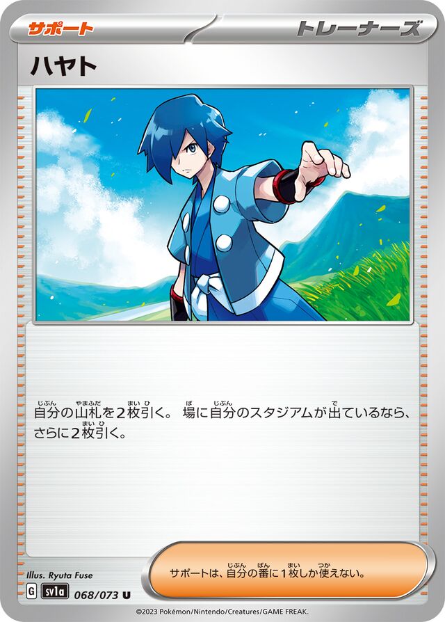 Falkner Pokemon card
