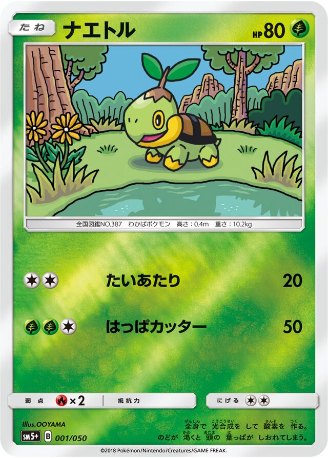 Turtwig Pokemon card