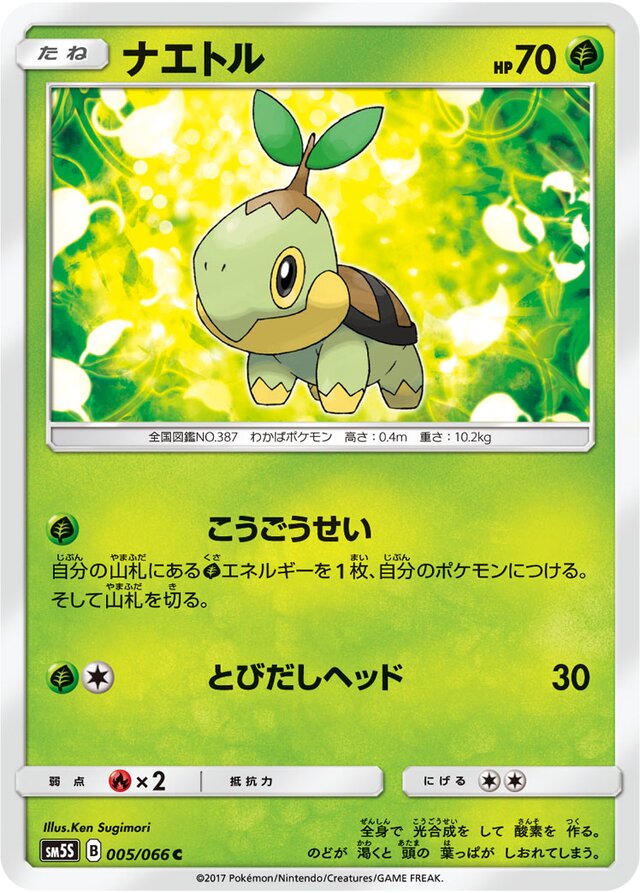 Turtwig Pokemon card
