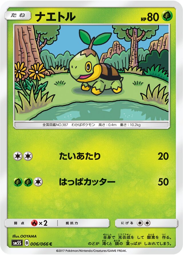 Turtwig Pokemon card