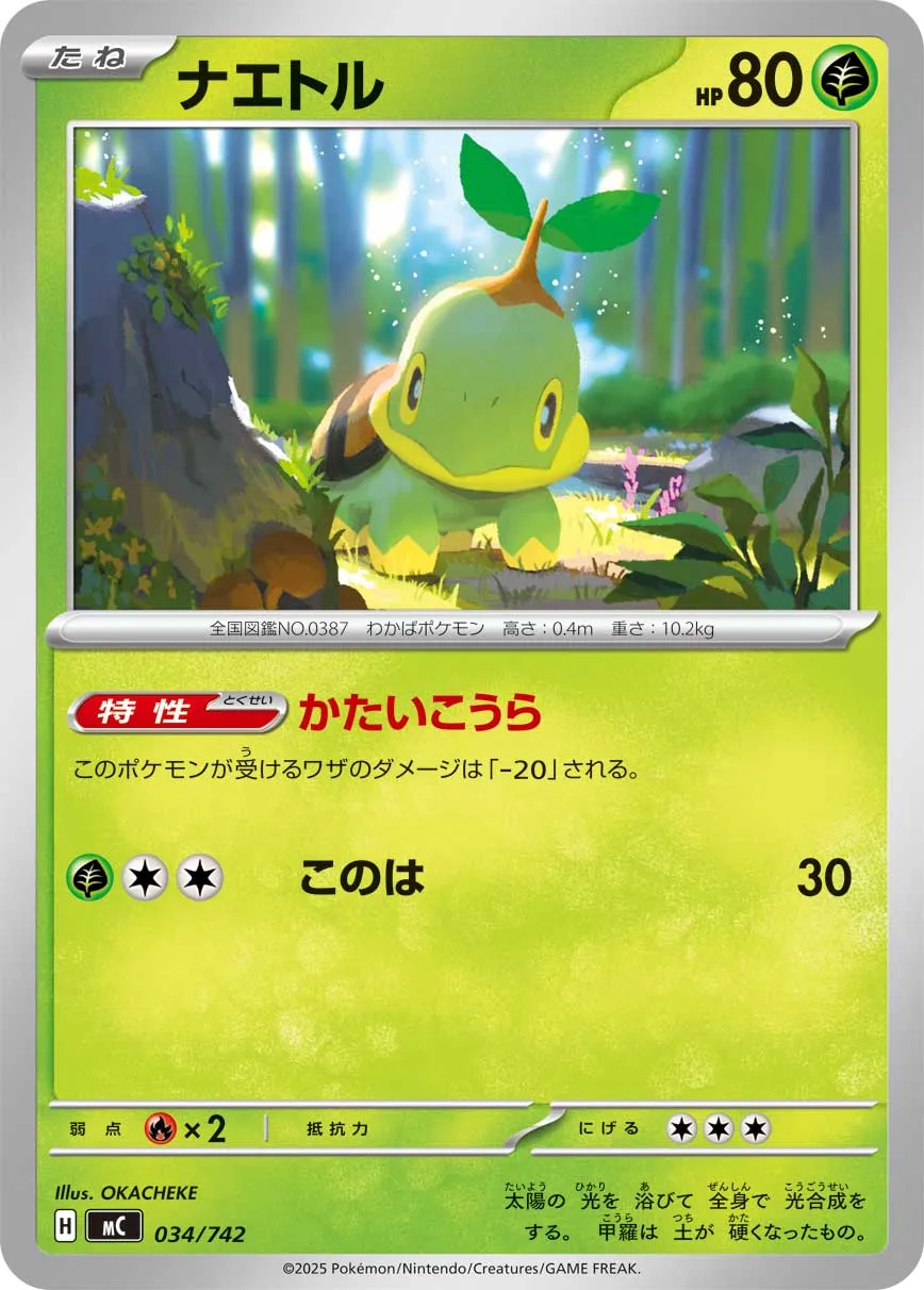 Turtwig Pokemon card