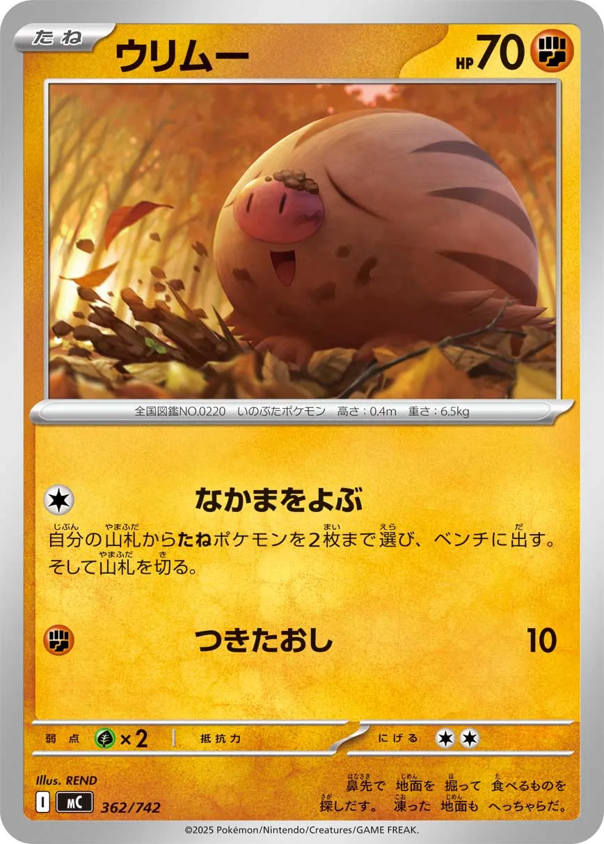 Swinub Pokemon card